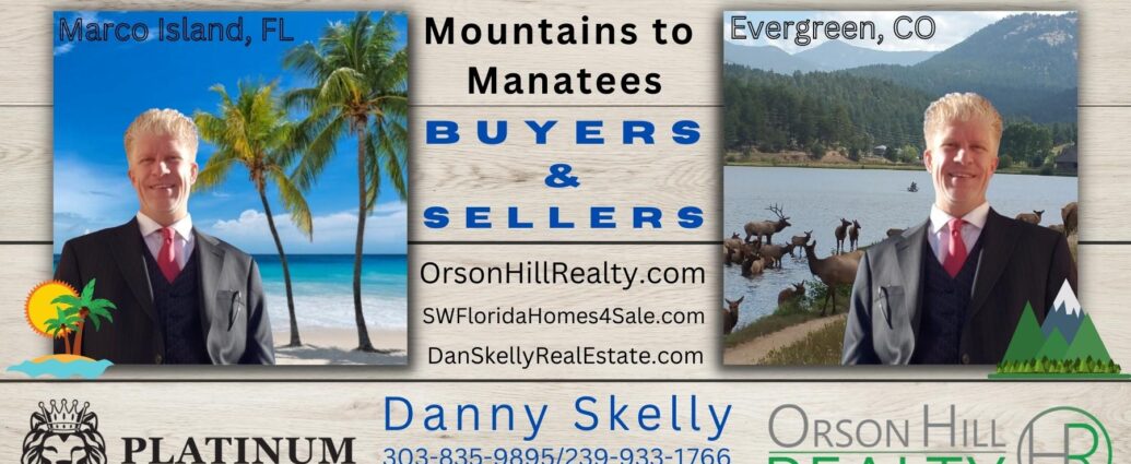 Dan Skelly Real Estate Agent