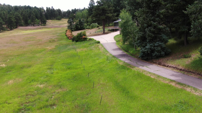 Paved Cart Path to the Second Guest Home