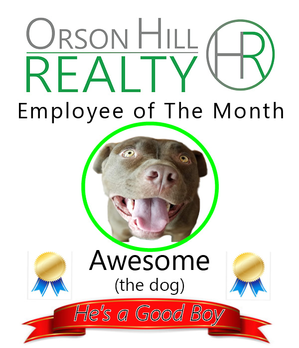 Orson Hill Realty Listing Agents
