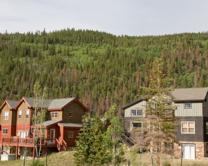 Colorado Mountain Homes For Sale